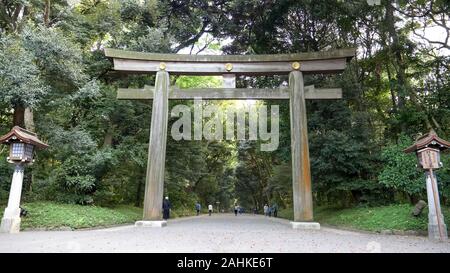 In der breiten Ansicht eines Torii-tor am Meiji Schrein in Tokio Stockfoto