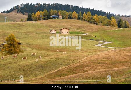 Schöne Mountain Chalets aus Holz an der berühmten Seiser Alm Tal in den Dolomiten, Südtirol in Italien Stockfoto