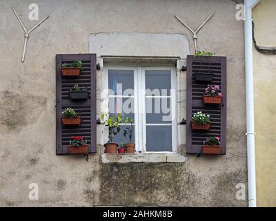 Blühende Pflanzen in Töpfe zu typischen hölzernen Fensterläden Fenster in die volkssprachen Gebäude in der Altstadt Straße der Stadt Bayonne, Frankreich, Europa fest Stockfoto