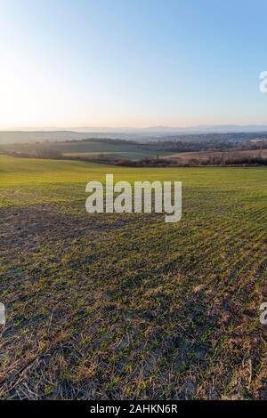 Blick auf die Berge von Buda aus Mogyorod in Ungarn. Stockfoto