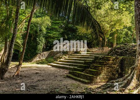 Lamanai archäologische reserve Maya-Ruinen in Belize tag Regenwald Stockfoto