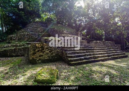 Lamanai archäologische reserve Maya Ruinen Stella Belize Dschungel Stockfoto