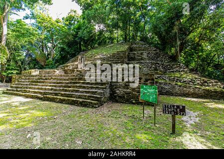 Lamanai archäologische reserve Maya Ruinen Stella Belize Dschungel Stockfoto