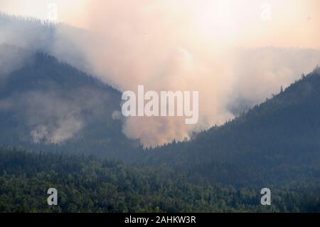 Rauch von Waldbränden zu Türmen in den Himmel Stockfoto