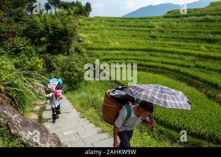 Dorfbewohner tragen Touristen Taschen durch die Reisterrassen Longji in Guangxi, Guangxi, China Stockfoto