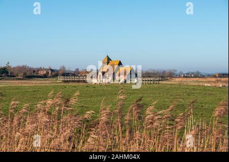 St Tomas ein becket Kirche, Fairfield, auf Romney Marsh umgeben von grasenden Schafen, Kent, Großbritannien isoliert Stockfoto