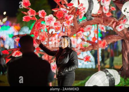 Atlanta chinesischen Laternenfest 2019 Stockfoto