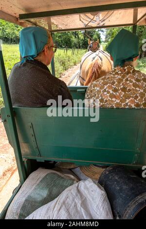 Mennonite Frauen Reisen auf einem Pferd und Buggy in San Ignacio Guazu, Paraguay Stockfoto