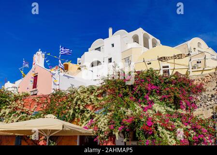 Bunten Bougainvillea Blüten mit traditionellen Gebäuden in Oia, Santorini, Griechenland Stockfoto