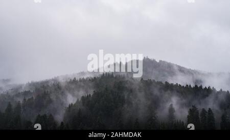 Deutschland, Heavy Rain Storm, Dampf, Wasser und Nebel über Schwarzwald Baum Berg, Luftaufnahme über Natur Landschaft Stockfoto