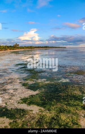 Einen atemberaubenden Sonnenuntergang vom unberührten Strand über dem Indischen Ozean bei cenizaro der Residenz, Sansibar, Tansania, Afrika Stockfoto