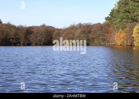 Blick über Blackroot Pool, Sutton Coldfield, Großbritannien Stockfoto