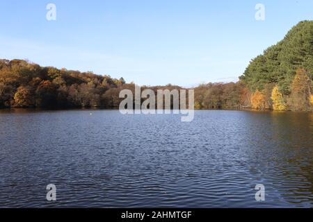 Blick über Blackroot Pool, Sutton Coldfield, Großbritannien Stockfoto