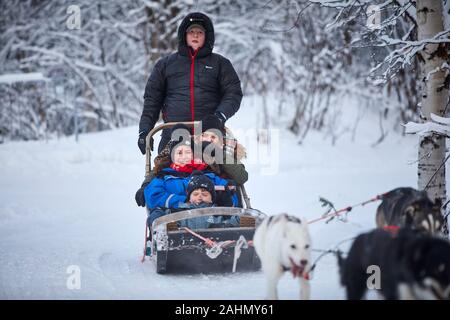 Finnische Rovaniemi eine Stadt in Finnland und der Region Lappland Santa Park Husky Hund Fahrt Stockfoto