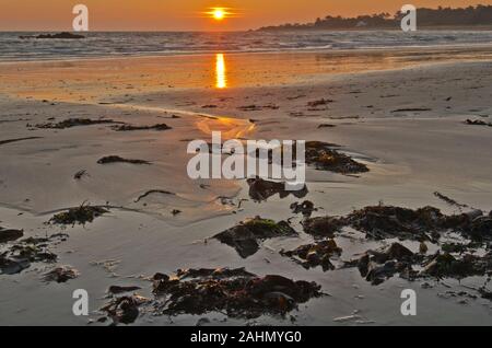 Sonne über den Atlantik Horizont vom Norden der Insel Yeu gesehen steigt, die Sonne ist in den nassen Sand Muster widerspiegelt, Meer Algen Pflanzen sind im fo Stockfoto