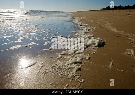 Sonne in den Gewässern des Atlantischen Ozeans und nasser Sand des Strandes widerspiegelt, Stücke Schaumstoff folgen Sie der Küste von Dune Küste im Norden der Insel Yeu, Fra Stockfoto