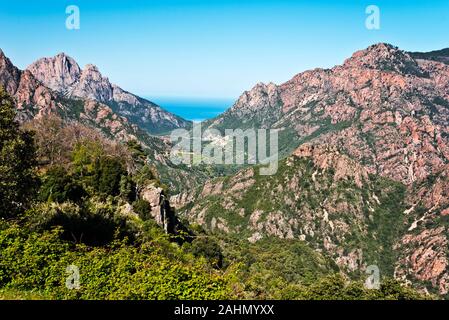 Gorges de Spelunca hoch ist Teil von Porto Tal zwischen Evisa und Ota Dörfer, die Küste von Porto Bay ist im Hintergrund, Aitone Wald umfasst die Stockfoto