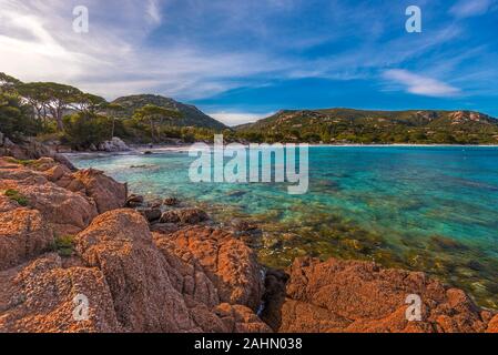Panoramablick auf Strand von Palombaggia aus Felsen von Punta di Colombara in der Abendsonne, Korsika, Corse du Sud, Frankreich Stockfoto