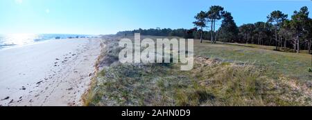 Panorama von Dune Küste im Norden der Insel Yeu. Den Atlantischen Ozean und den Sandstrand in der Sonne sind auf der Rechten und der Wald ist auf der rechten Seite und Duna ist Stockfoto