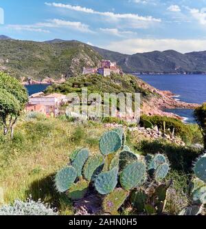 Blick auf den Hafen von Girolata und seinen Turm, der Kaktus Pflanze im Vordergrund, Insel Korsika, Corse-du-Sud, Frankreich Stockfoto