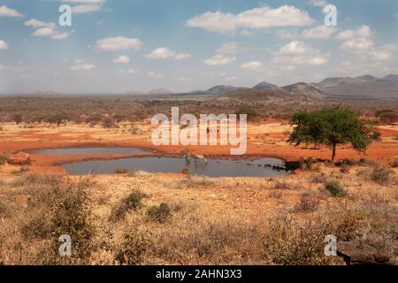 Kilaguni Serena Safari Lodge Kenta Stockfoto