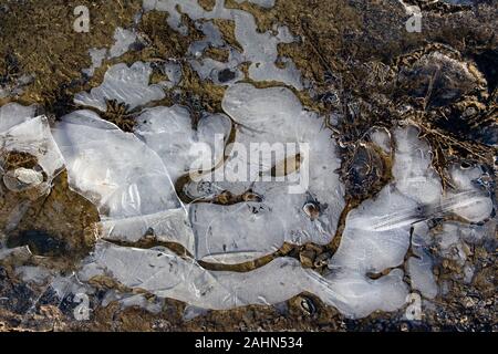 Gefrorenen Pfütze mit Luftblasen im Winter Stockfoto