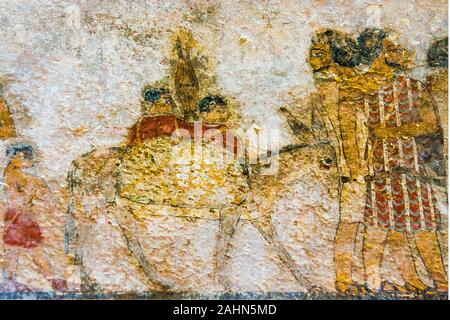 Mitte Ägypten, Beni Hasan, das Grab von Khnumhotep II stammt aus dem Reich der Mitte und enthält die berühmte Szene namens "Ankunft der Hyksos'. Stockfoto