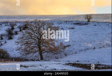 Diese Landschaft ist typisch für Ostholstein in Norddeutschland. Stockfoto