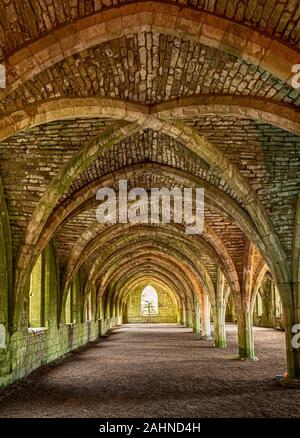 Fountains Abbey North Yorkshire im Winter Sonnenschein Stockfoto