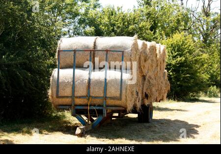 Gerollt Heu in Farm in Großbritannien Stockfoto