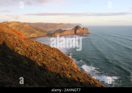 O'Neill Bucht und Bethells Beach aus dem Te Henga Coastal Track im West Auckland, Neuseeland. Stockfoto