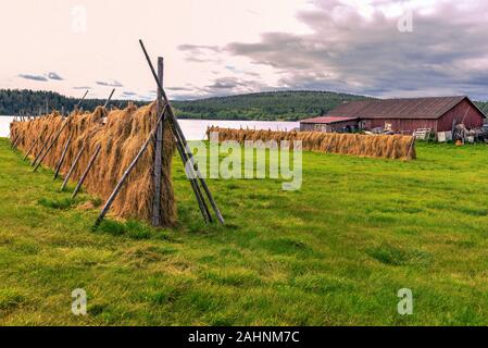 Farm in Hetta Dorf im finnischen Lappland mit typisch nordischen hayracks. Ounasjrvi See und die Wälder des Pallas-Yllastunturi National Park sind et Stockfoto