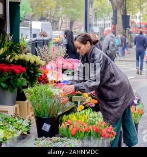 Dame wählt Blumen an eine bunte Ecke Straße, während Menschen vorbei gehen. Holborn, London, UK. Stockfoto