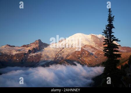 Mount Rainier und Nebel Tal bei Sonnenaufgang, Sonnenaufgang, Mount Rainier National Park, Pierce County, Washington, USA Stockfoto