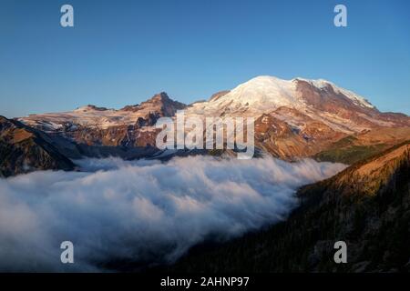 Mount Rainier und Nebel Tal bei Sonnenaufgang, Sonnenaufgang, Mount Rainier National Park, Pierce County, Washington, USA Stockfoto