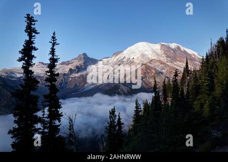 Mount Rainier und Nebel Tal bei Sonnenaufgang, Sonnenaufgang, Mount Rainier National Park, Pierce County, Washington, USA Stockfoto