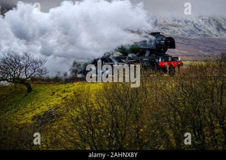 60103 Flying Scotsman bei Ribblehead, North Yorkshire, Großbritannien Stockfoto