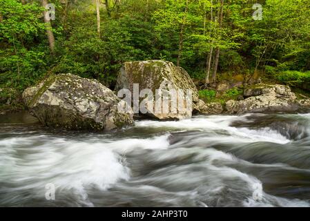 Zwei große Felsbrocken sitzen am Rande eines schnell fließenden Bach im Smoky Mountain N.P. in Tennessee. Stockfoto