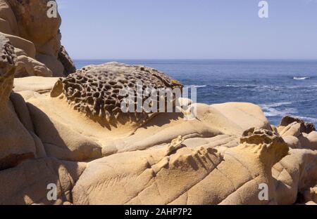 Sand Stein Erosion Beispiel im Salt Point State Park, Sonoma Kalifornien Küste, bekannt als "Tafoni" Stockfoto