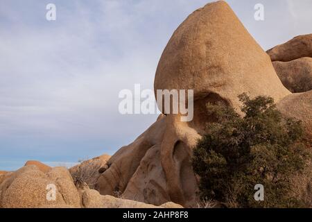 Skull Rock, Joshua Tree National Park Stockfoto