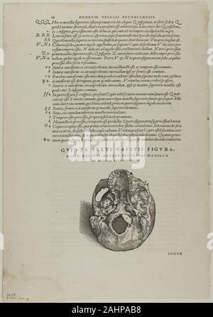 Jan Stephan van Calcar. Blatt von De Humani Corporis Fabrica (Schädel), Platte 100 von Holzschnitten aus Büchern aus dem 16. Jahrhundert. 1543. Niederlande. Holzschnitt auf Papier Stockfoto