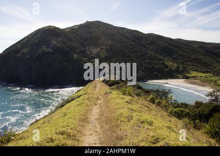 Das seaside Bergrücken des Te Paki Coastal Trail rund um Cape Reinga, Northland, Neuseeland. Stockfoto