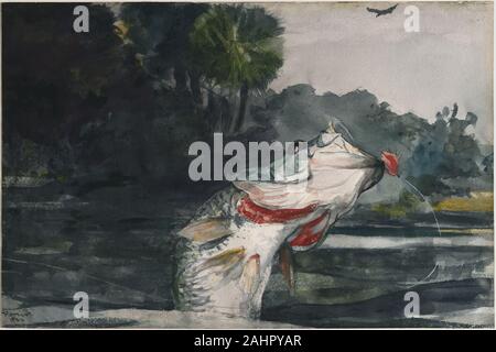Winslow Homer. Life-Size Black Bass. 1904. In den Vereinigten Staaten. Transparente Aquarell, mit einem Hauch von opak Aquarell, Wiedervernässung, Blotting und Schaben, über Graphit, Dicke, mäßig strukturierten (twill Textur auf verso), im Januar 1904 Elfenbein webte Papier (linken, rechten und unteren kanten getrimmt), Homer reiste nach Homosassa, Florida, zu fischen. Die homosassa River, auf der Golfseite der Zustand, war Heimat für viele Fischarten und unterstützt einen üppigen Lebensraum für wild lebende Tiere. Es wurde im Homosassa, dass Homer seine letzten tropischen Wasserfarben, einschließlich life-size Black Bass gemalt. In dieser Arbeit, die der Künstler in der Lage, die Stockfoto