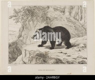 Antoine Louis Barye. Mississippi tragen. 1836. Frankreich. Lithographie auf festem Papier webten berühmten Tier Bildhauer Antoine Louis Barye produzierte auch Aquarelle und ein paar Drucke. In ähnlicher Weise wie andere Bilder von barye der Tiere wie Löwen und Tiger gerahmt, diese Lithographie zeigt ein schwarzer Bär von der exotischen Zustand von Mississippi. Diese großen Tiere gab es reichlich, bis um 1900, zieht Großwildjäger, darunter Präsident Theodore Roosevelt. Während seiner 1902 Besuch im Mississippi Delta, der Präsident sich weigerten zu schießen einen Verletzten und lassoed tragen, wenn man bedenkt, dass es unsportlich. Stockfoto