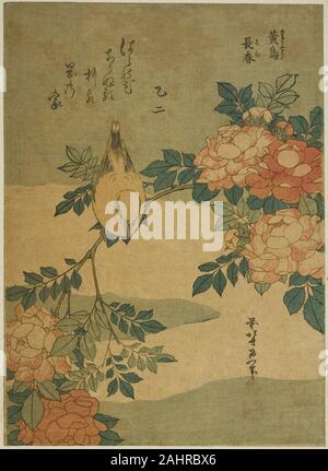 Katsushika Hokusai. Bush Warbler und Rose (Kocho, Bara), von einer unbetitelten Serie von Blumen und Vögel. 1829-1839. Japan. Farbe holzschnitt; chuban Stockfoto