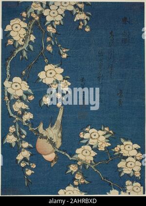 Katsushika Hokusai. Dompfaff und weinend Kirsche (Uso, shidarezakura), von einer unbetitelten Serie von Blumen und Vögel. 1829-1839. Japan. Farbe holzschnitt; chuban Stockfoto