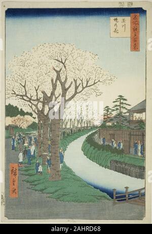 Utagawa Hiroshige. Blüten auf die Tama River Embankment (Tamagawa - zutsumi no hana), aus der Serie 100 berühmten Ansichten von Edo (Meisho Edo hyakkei). 1856. Japan. Farbe holzschnitt; Oban Stockfoto