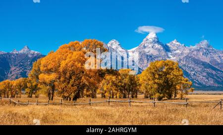 Einen schönen Herbst Landschaft Szene in Jackson Hole, Wyoming, Anzeigen von lebendigen Herbst Laub und die berühmten schneebedeckten Grand Teton Bergkette. Stockfoto