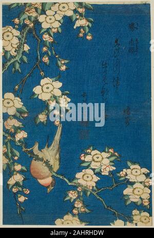 Katsushika Hokusai. Dompfaff und weinend Kirsche (Uso, shidarezakura), von einer unbetitelten Serie von Blumen und Vögel. 1829-1839. Japan. Farbe holzschnitt; chuban Stockfoto