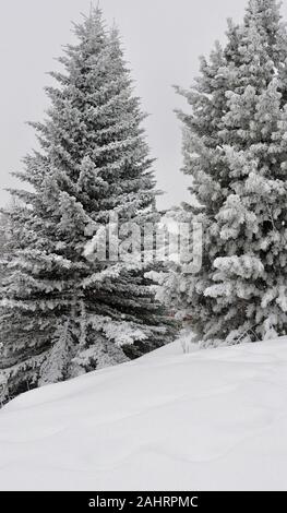 Spaziergang in der Station der GAP durch die Kälte, Schnee und Frost. Frankreich Stockfoto